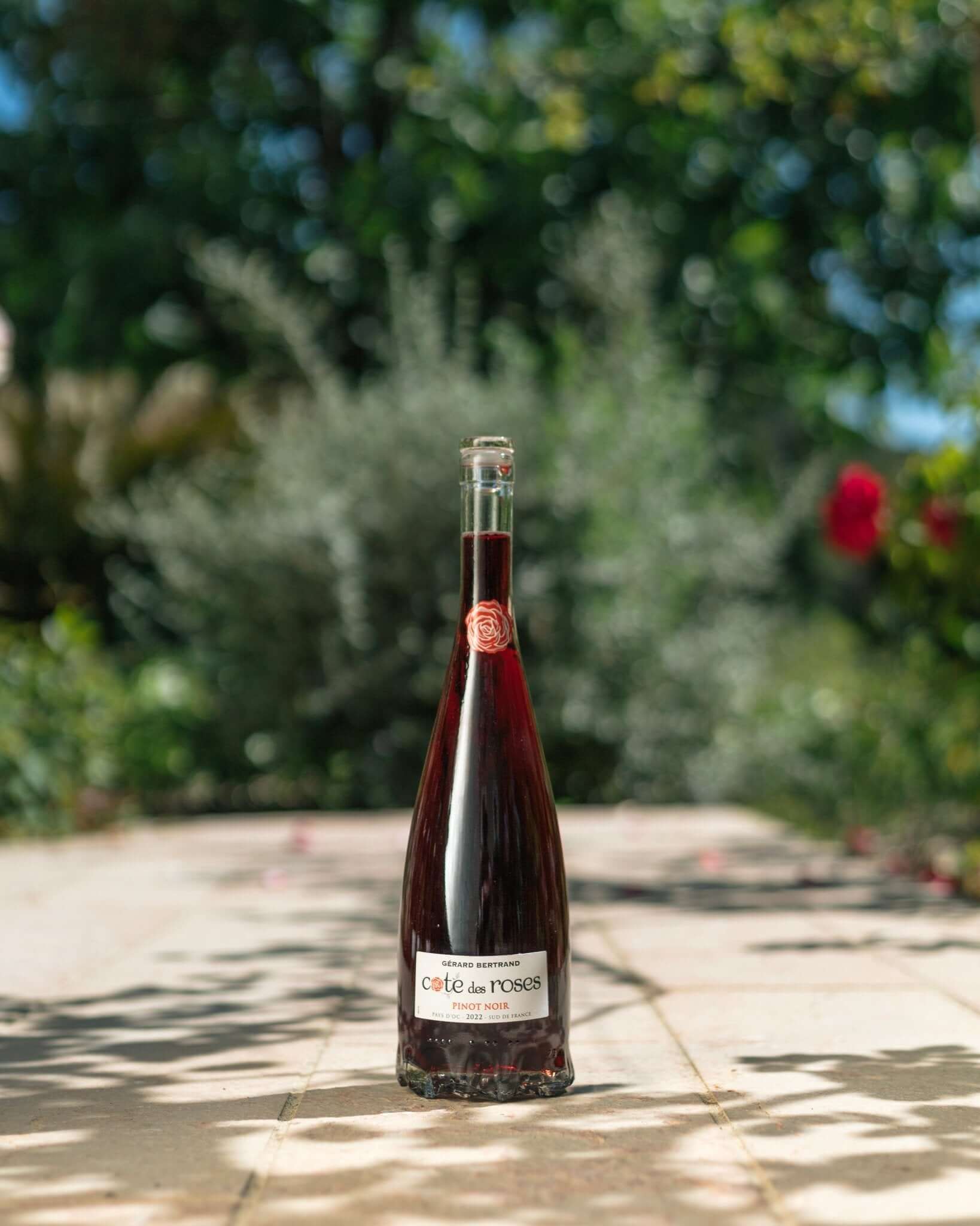 Cote des Roses Pinot noir (750ml) Red wine Gérard Bertrand   