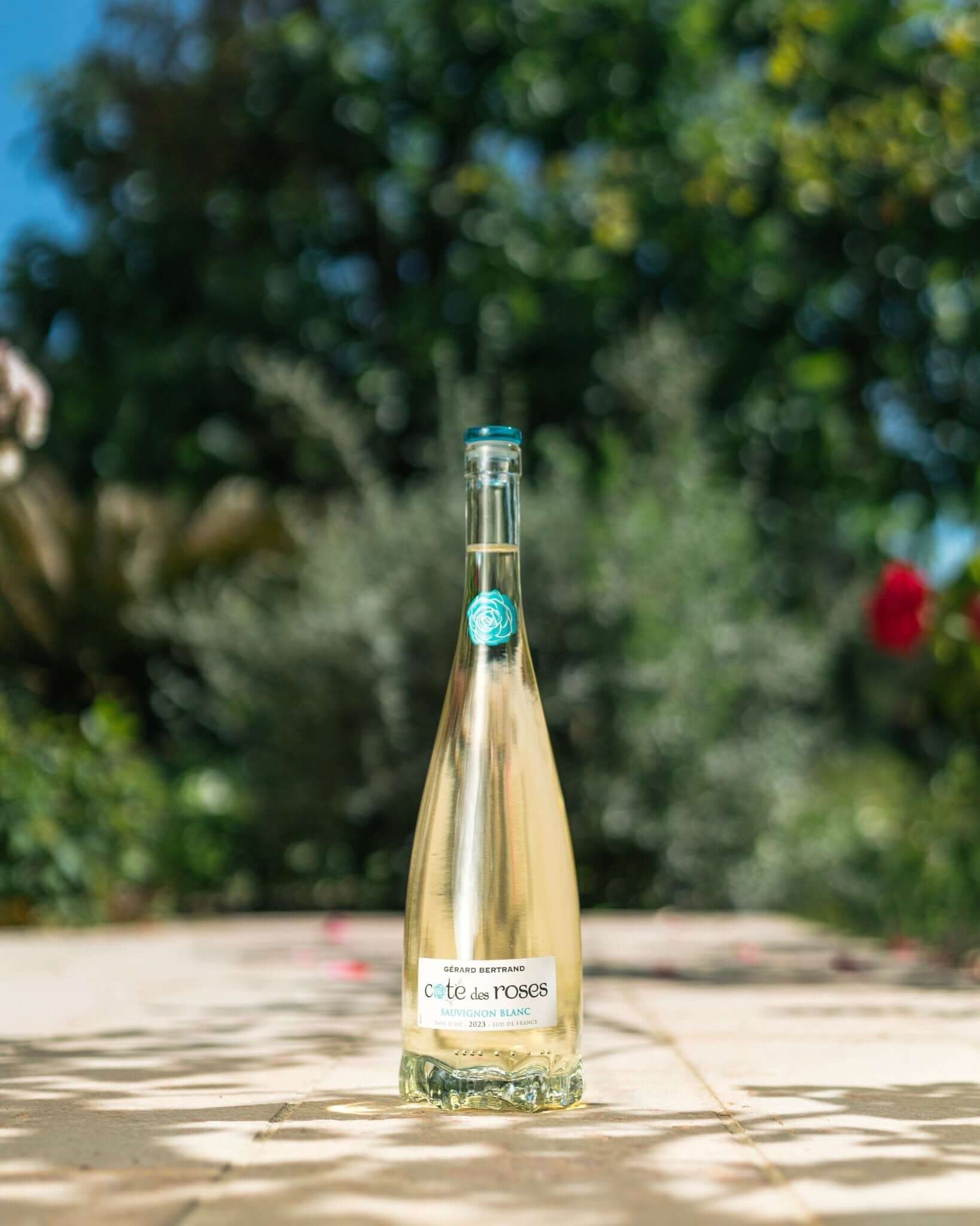 Cote des Roses sauvignon blanc White wine Gérard Bertrand   